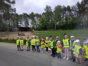 IMG_20190520_114155 (1)