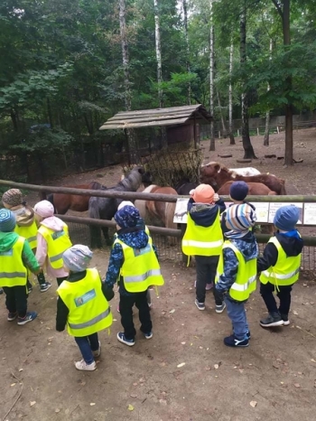 IMG-20210923-WA0018_Easy-Resize.com_